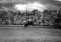 [Unidentified Cowboy riding bareback Bronc whose rear legs are kicked up and out]