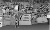 Bud Munroe on Kicky Bear