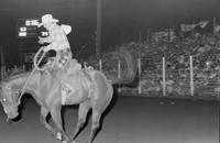Unidentified rider on unknown Bronc
