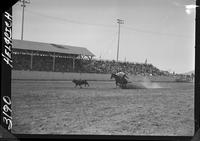 Dan Poore Calf Roping