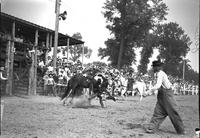 [Unidentified Cowboy hitting the dirt after being thrown]