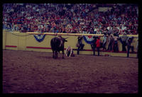 Unidentified Rodeo clowns fighting Mixmaster