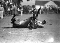 Virgil Stapp and his Mule "Roosevelt", Address 708 Hawthorne St., Houston, Tex.