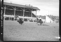 Dewey Drumheller Calf Roping