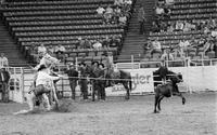 Doug Clark Calf roping