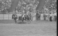 Bob Miller Steer wrestling