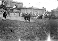 Joe Farrell Bulldogging, California Frank's Rodeo, Willow Grove Park, PA