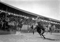 Red Phalen on "Last Chance" Wolf Point Stampede