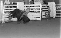 Kyle Whiting on Quinine