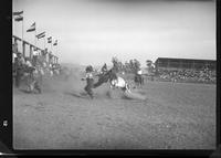 Elmer Holcomb Fighting #27  (Jack Spurlings Bull)