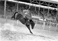 Bill MacMakin on "Sure Shot" Billings, Mont.