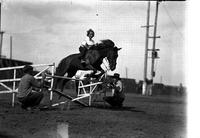 [Unidentified little girl jumping horse over pole leveled by two men]