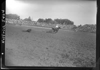 King Merritt Steer Roping