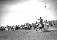 [Unidentified Cowboy riding bronc as someone climbs tower for trapeze or high wire act to right]