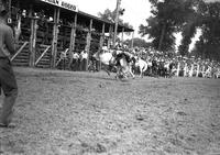 [Unidentified Cowboy leaving head-first over bronc's head on his way to the dirt]