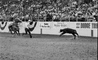 Larry Snyder Calf roping
