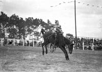 [Mary Parks riding bronc]