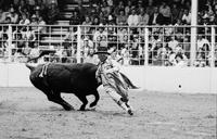 Rodeo clown Rex Dunn Bull fighting