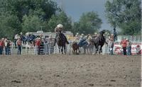 Rod Staudinger Steer wrestling