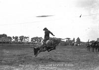 Ray Bell in the Wild Steer Riding