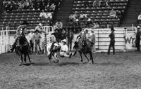 Allen Good Steer wrestling