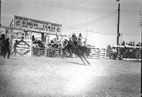 [Mel Morris riding his mount in front of chutes at the World's Championship Rodeo]