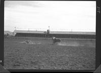 Chuck Shepard Calf Roping 19 sec