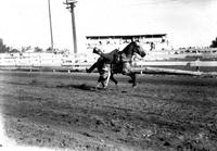 [Unidentified Cowgirl doing Russian Drag in the Saddle]