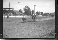 Cecil Bedford Calf Roping