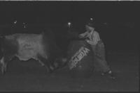 Unidentified Rodeo clowns Bull fighting