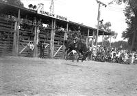 [Unidentified Cowboy riding bronc]