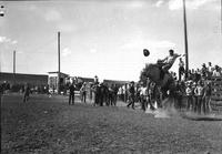 [Unidentified Cowboy hanging on to bucking bronc]