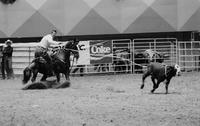 Jimmie Cooper Calf roping