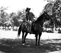 [Possibly Milt Moe on horseback horse with silver bit and mountings]