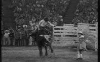 Tony Shoulders on Ram Charger