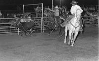 Mike & Dave Price Team roping
