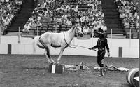 Rodeo clown Rex Dunn specialty act