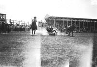 Red Thomson Bulldogging Burwell Rodeo