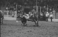 John Chaney Steer wrestling