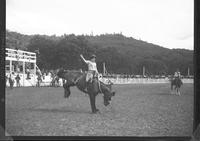 Maude Barnett on June Bug