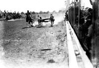 Roy Kirk Bulldogging Shreveport Rodeo