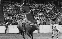 Bryan Olson on Booger Red