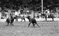 Eldon Hearn Calf roping