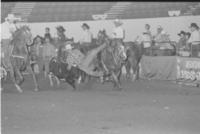 Robt. Easterwood Steer wrestling