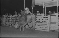 Kevin Rockabar on Bull #11