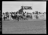 Richard Weining off 27CB