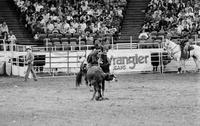 Darrell Lambert Calf roping