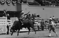 Clint Green on Ram Charger
