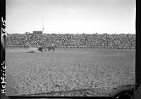 Dean Meritt Steer Roping