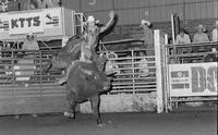 Chris Norman on Bull #149